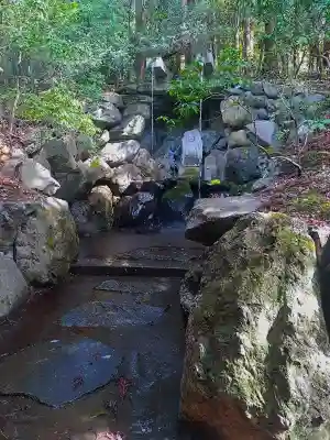 赤山禅院の{uncategorized: "未分類", other: "その他", undefined: "問題あり", building: "その他建物", grave: "お墓", sacred_gate: "鳥居", guardian: "狛犬", statue: "像", buddha: "仏像", history: "歴史", nature: "自然", garden: "庭園", animal: "動物", pagoda: "塔", temizu: "手水舎", mountain_gate: "山門・神門", sanctuary: "本殿・本堂", subordinate: "末社・摂社", art: "芸術", scenery: "景色", jizo: "地蔵", ema: "絵馬", goshuin: "御朱印", omikuji: "おみくじ", items: "授与品その他", amulet: "お守り", goshuincho: "御朱印帳", eats: "食事", festival: "お祭り", votive_dance: "神楽", shichigosan: "七五三参", wedding: "結婚式", experience: "体験その他", initially: "初詣", around: "周辺", anti_infection: "感染症対策"}