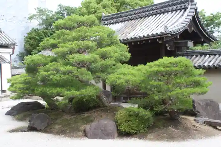 観智院(東寺子院)(京都府)