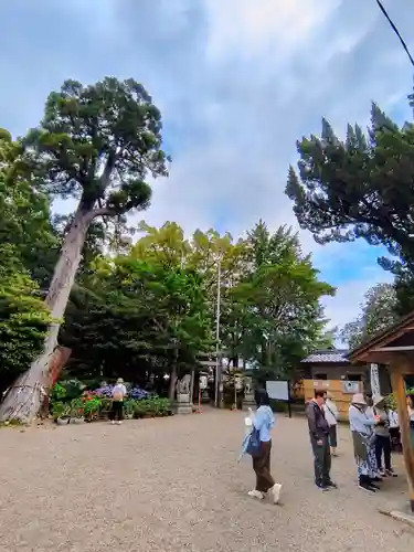 竹神社(三重県)