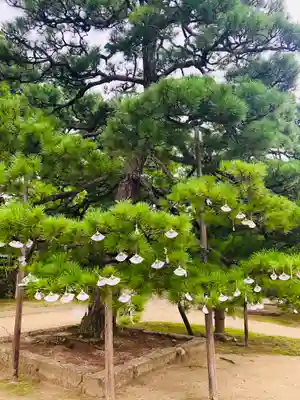 智恩寺(京都府)