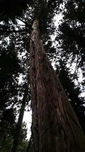 雲洞庵　芹沢観音の自然