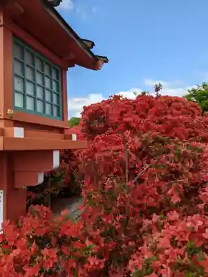 長岡天満宮(京都府)