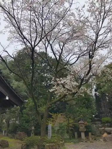 加納天満宮の自然