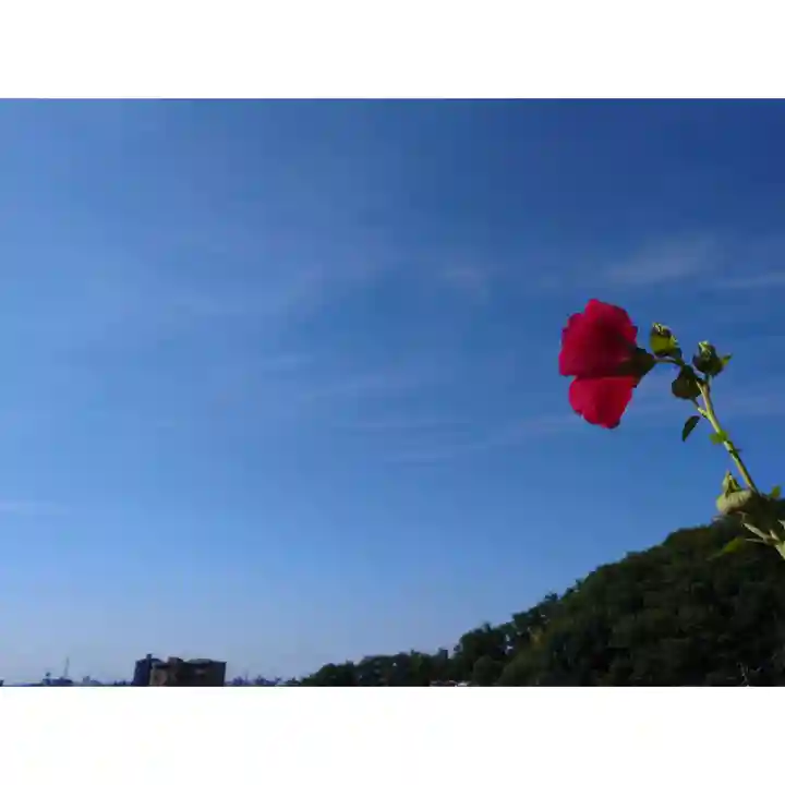 岐阜稲荷山本社(岐阜県)