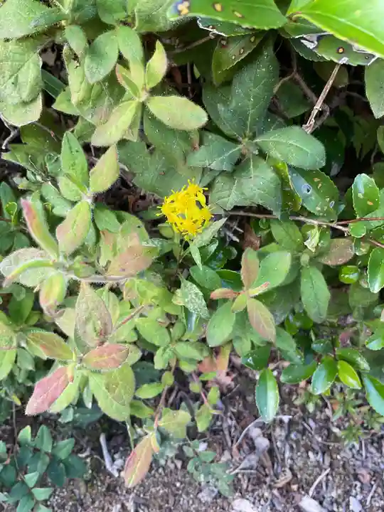 妙感寺(滋賀県)