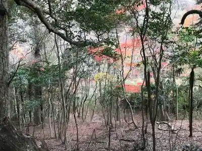 日吉神社の自然