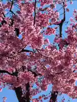 宝玉稲荷神社(神奈川県)