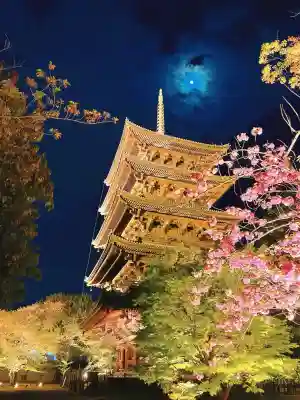 東寺(教王護国寺)の塔