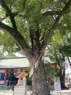 大依羅神社(大阪府)