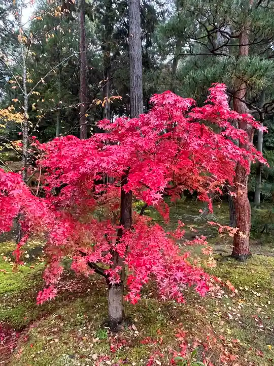 唐招提寺(奈良県)