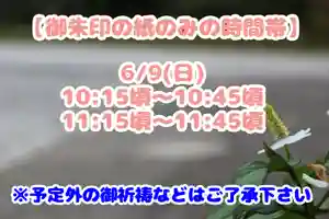くまくま神社(導きの社 熊野町熊野神社)(東京都) 2024年06月09日(日)〜(2024年06月08日(土) 19時03分39秒投稿)