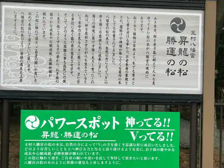 玉村八幡宮(群馬県)