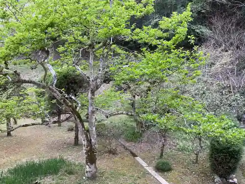 吉祥寺(岐阜県)
