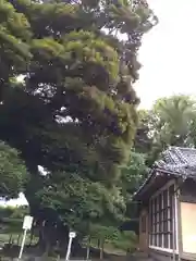 九重神社の自然