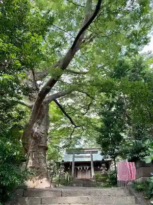 愛宕神社(福島県)