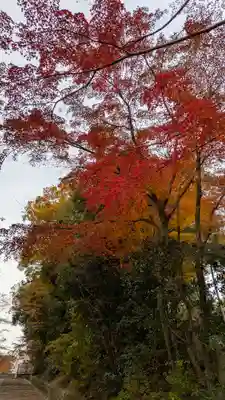 光明寺（粟生光明寺）(京都府)