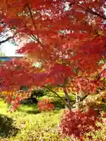 宇佐神宮の自然