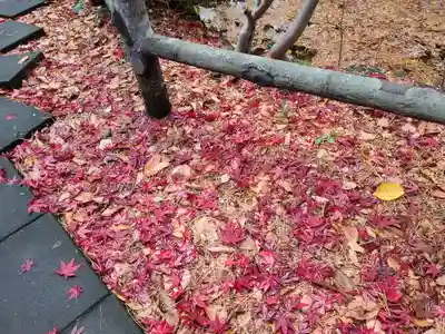 白石神社(北海道)