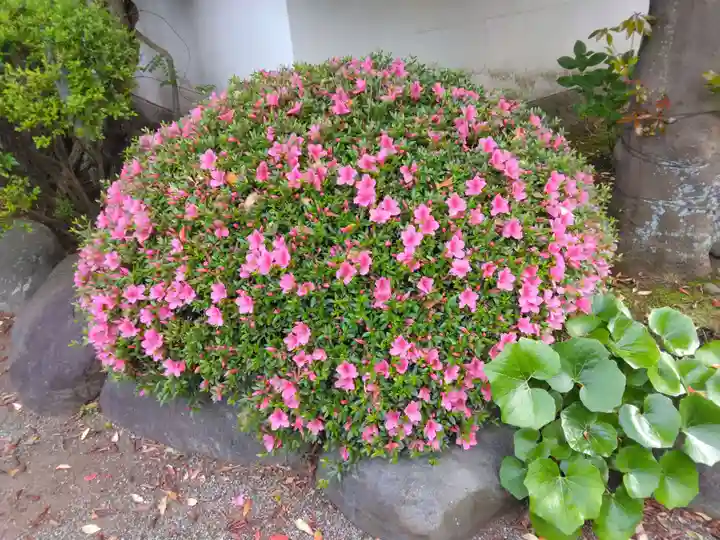 宝寿院(神奈川県)