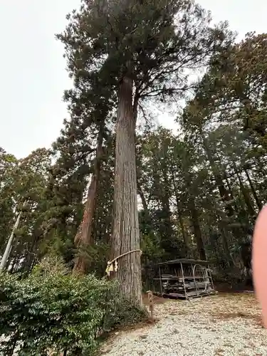 熱日高彦神社(宮城県)