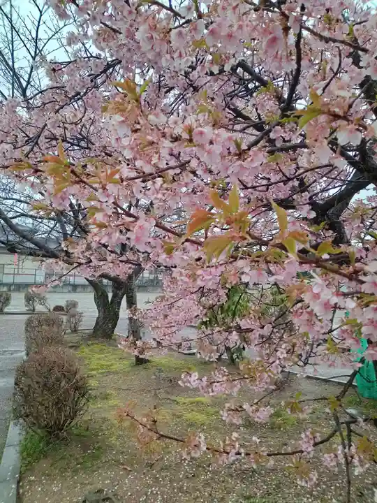 薬師寺(奈良県)