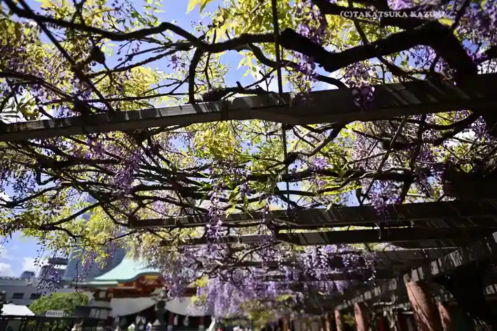 日枝神社(東京都)