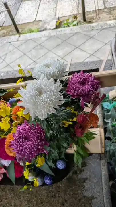 勝林寺(京都府)