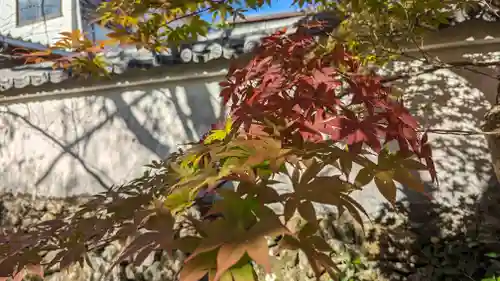 宝菩提院願徳寺(京都府)