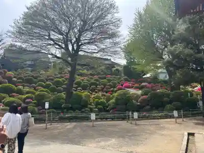 根津神社の{uncategorized: "未分類", other: "その他", undefined: "問題あり", building: "その他建物", grave: "お墓", sacred_gate: "鳥居", guardian: "狛犬", statue: "像", buddha: "仏像", history: "歴史", nature: "自然", garden: "庭園", animal: "動物", pagoda: "塔", temizu: "手水舎", mountain_gate: "山門・神門", sanctuary: "本殿・本堂", subordinate: "末社・摂社", art: "芸術", scenery: "景色", jizo: "地蔵", ema: "絵馬", goshuin: "御朱印", omikuji: "おみくじ", items: "授与品その他", amulet: "お守り", goshuincho: "御朱印帳", eats: "食事", festival: "お祭り", votive_dance: "神楽", shichigosan: "七五三参", wedding: "結婚式", experience: "体験その他", initially: "初詣", around: "周辺", anti_infection: "感染症対策"}