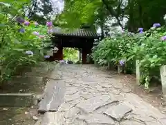 本光寺(愛知県)