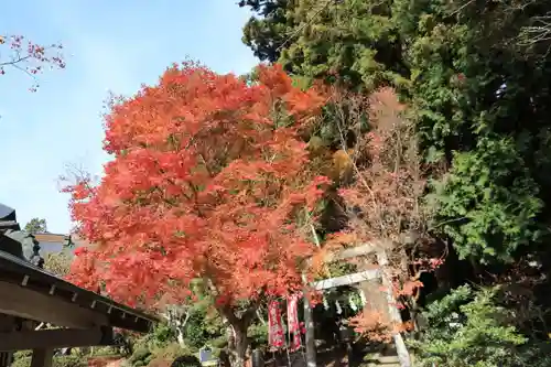 鹿島大神宮の鳥居