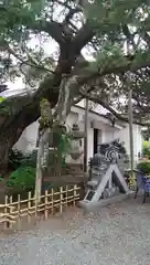 光傳寺（光伝寺）の自然