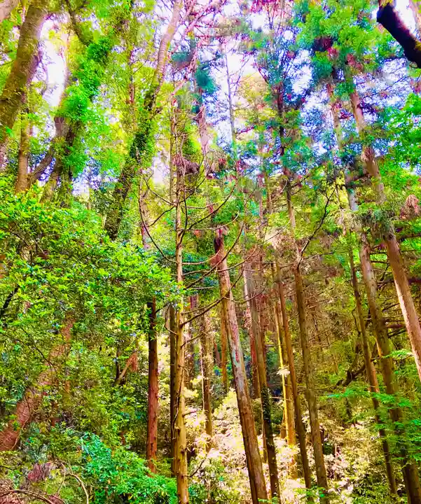 菖蒲沢薬師堂の自然