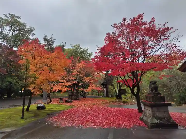 鷹栖神社の自然