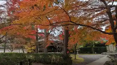 真正極楽寺(真如堂)(京都府)
