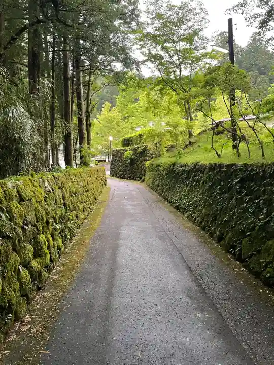 四本龍寺の{uncategorized: "未分類", other: "その他", undefined: "問題あり", building: "その他建物", grave: "お墓", sacred_gate: "鳥居", guardian: "狛犬", statue: "像", buddha: "仏像", history: "歴史", nature: "自然", garden: "庭園", animal: "動物", pagoda: "塔", temizu: "手水舎", mountain_gate: "山門・神門", sanctuary: "本殿・本堂", subordinate: "末社・摂社", art: "芸術", scenery: "景色", jizo: "地蔵", ema: "絵馬", goshuin: "御朱印", omikuji: "おみくじ", items: "授与品その他", amulet: "お守り", goshuincho: "御朱印帳", eats: "食事", festival: "お祭り", votive_dance: "神楽", shichigosan: "七五三参", wedding: "結婚式", experience: "体験その他", initially: "初詣", around: "周辺", anti_infection: "感染症対策"}