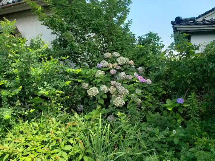 熊野神社の自然