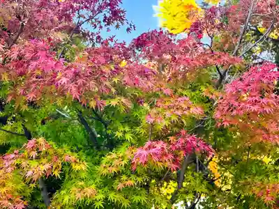 伊勢の国 四天王寺(三重県)