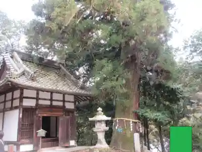 石山寺(滋賀県)