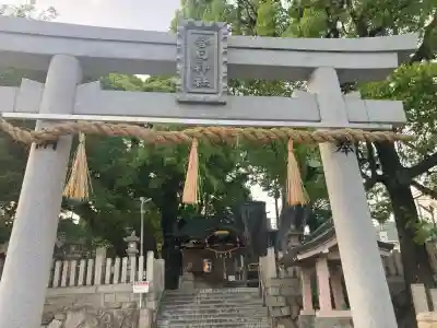 春日神社の{uncategorized: "未分類", other: "その他", undefined: "問題あり", building: "その他建物", grave: "お墓", sacred_gate: "鳥居", guardian: "狛犬", statue: "像", buddha: "仏像", history: "歴史", nature: "自然", garden: "庭園", animal: "動物", pagoda: "塔", temizu: "手水舎", mountain_gate: "山門・神門", sanctuary: "本殿・本堂", subordinate: "末社・摂社", art: "芸術", scenery: "景色", jizo: "地蔵", ema: "絵馬", goshuin: "御朱印", omikuji: "おみくじ", items: "授与品その他", amulet: "お守り", goshuincho: "御朱印帳", eats: "食事", festival: "お祭り", votive_dance: "神楽", shichigosan: "七五三参", wedding: "結婚式", experience: "体験その他", initially: "初詣", around: "周辺", anti_infection: "感染症対策"}