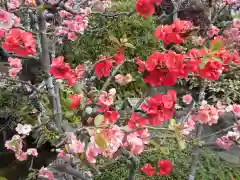 長谷寺(神奈川県)