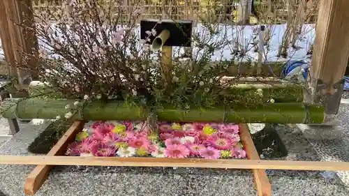 白山神社(新潟県)