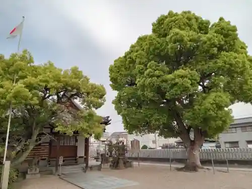 菅原神社(大阪府)