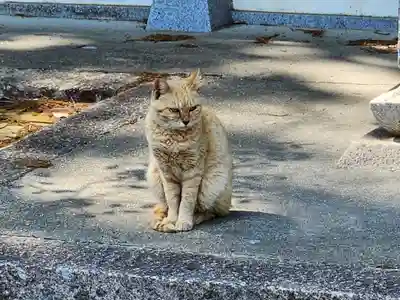 平林寺(兵庫県)