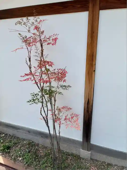 宝菩提院(京都府)