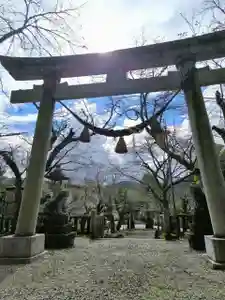 天鷹神社の鳥居(2025年11月28日(金) 21時07分04秒投稿)