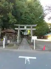 篠津久伊豆神社(埼玉県)