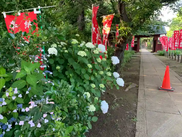 延命寺(千葉県)