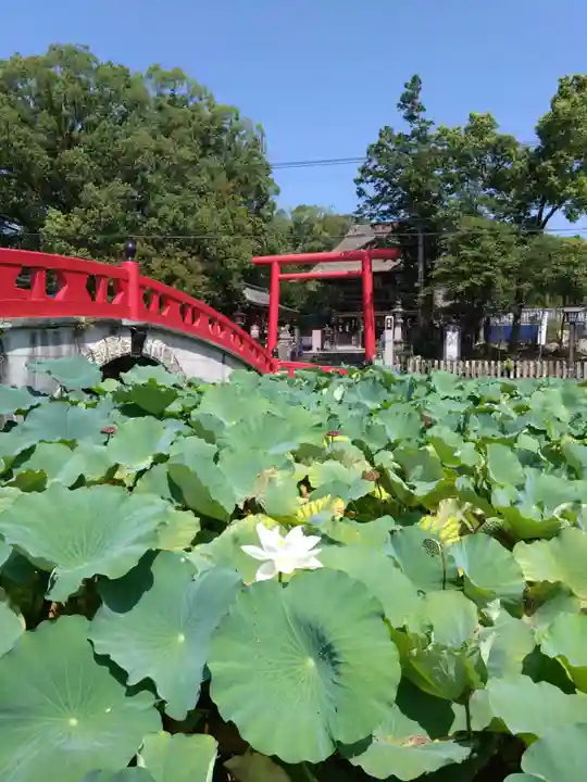 青井阿蘇神社(熊本県)