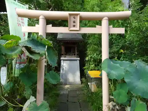 白笹稲荷神社の鳥居